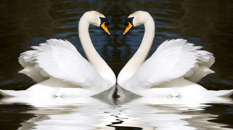Фото: Depositphotos