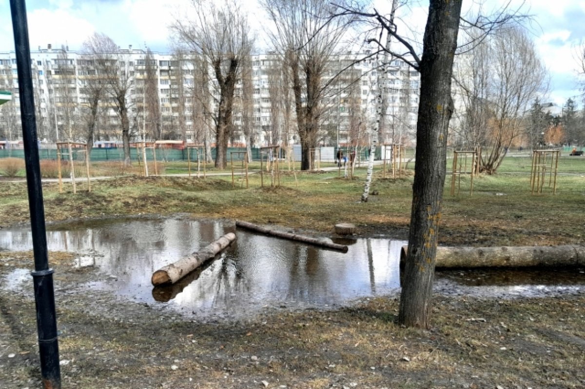 Убрать сухостой. В парке Победы Белгорода проинспектировали деревья | АиФ- Белгород | Дзен