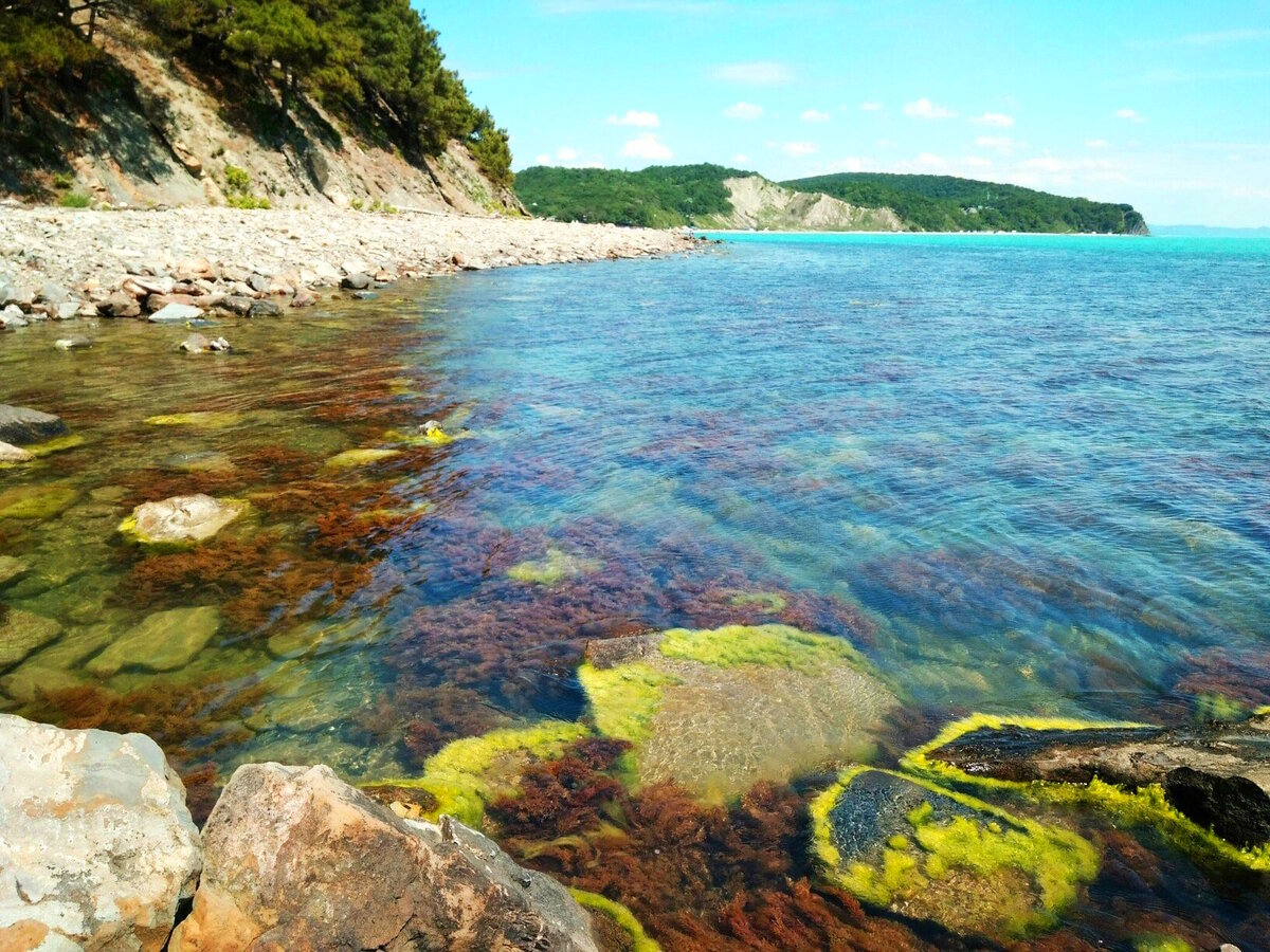 Голубая бухта Бжид море