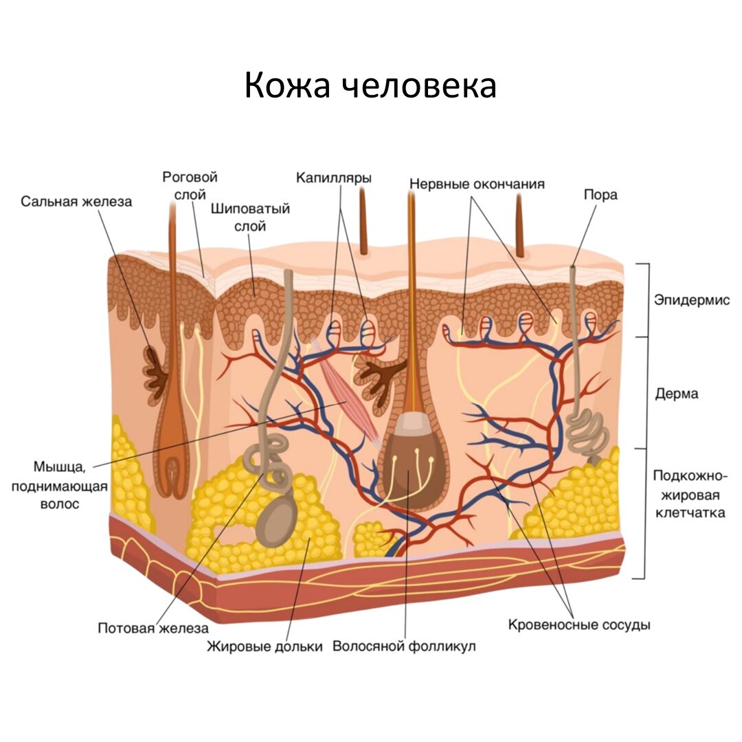 Из открытых источников