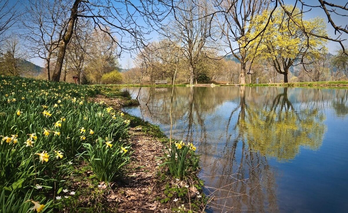 Фото с сайта pinterest.com