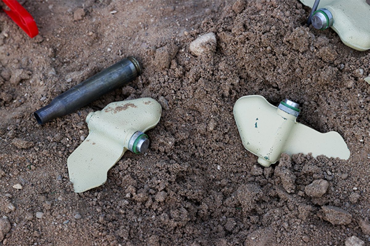    Мины «Лепесток».