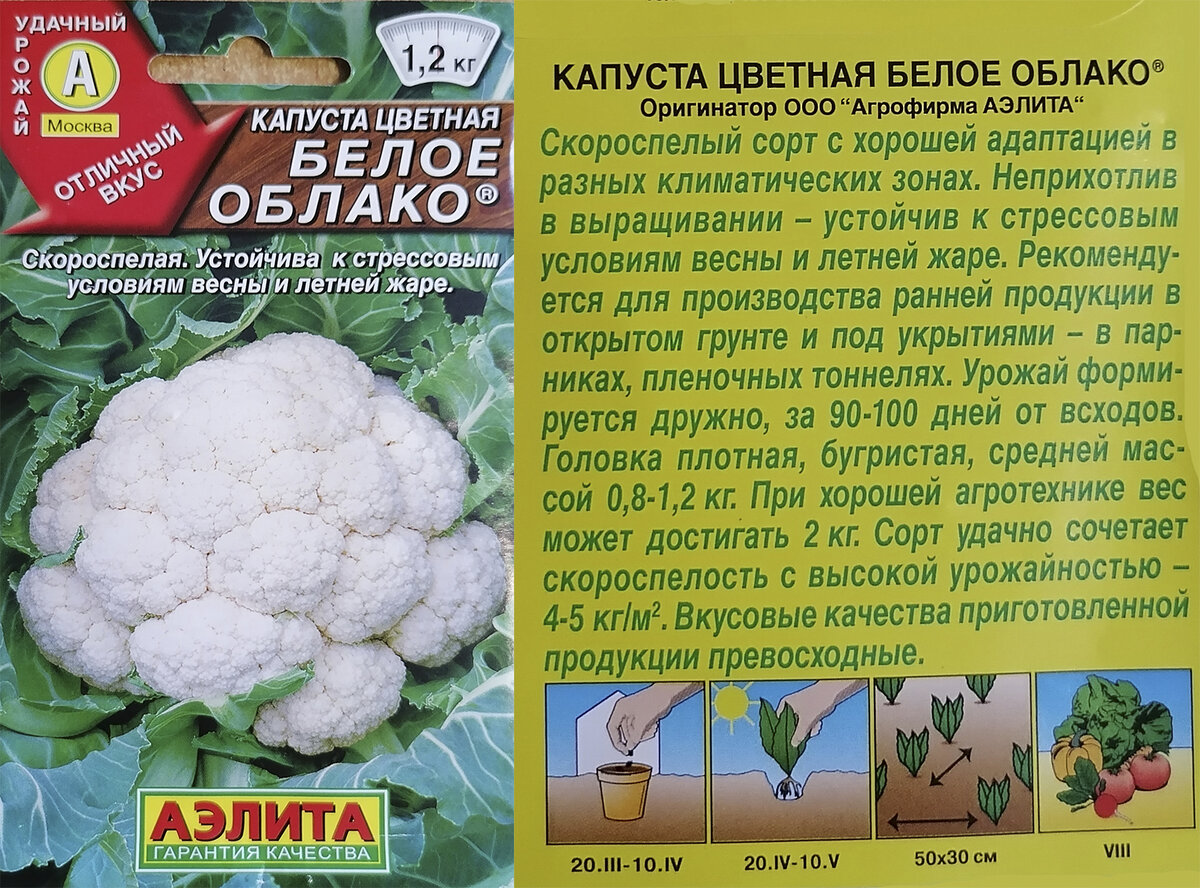 Рассада цветной капусты