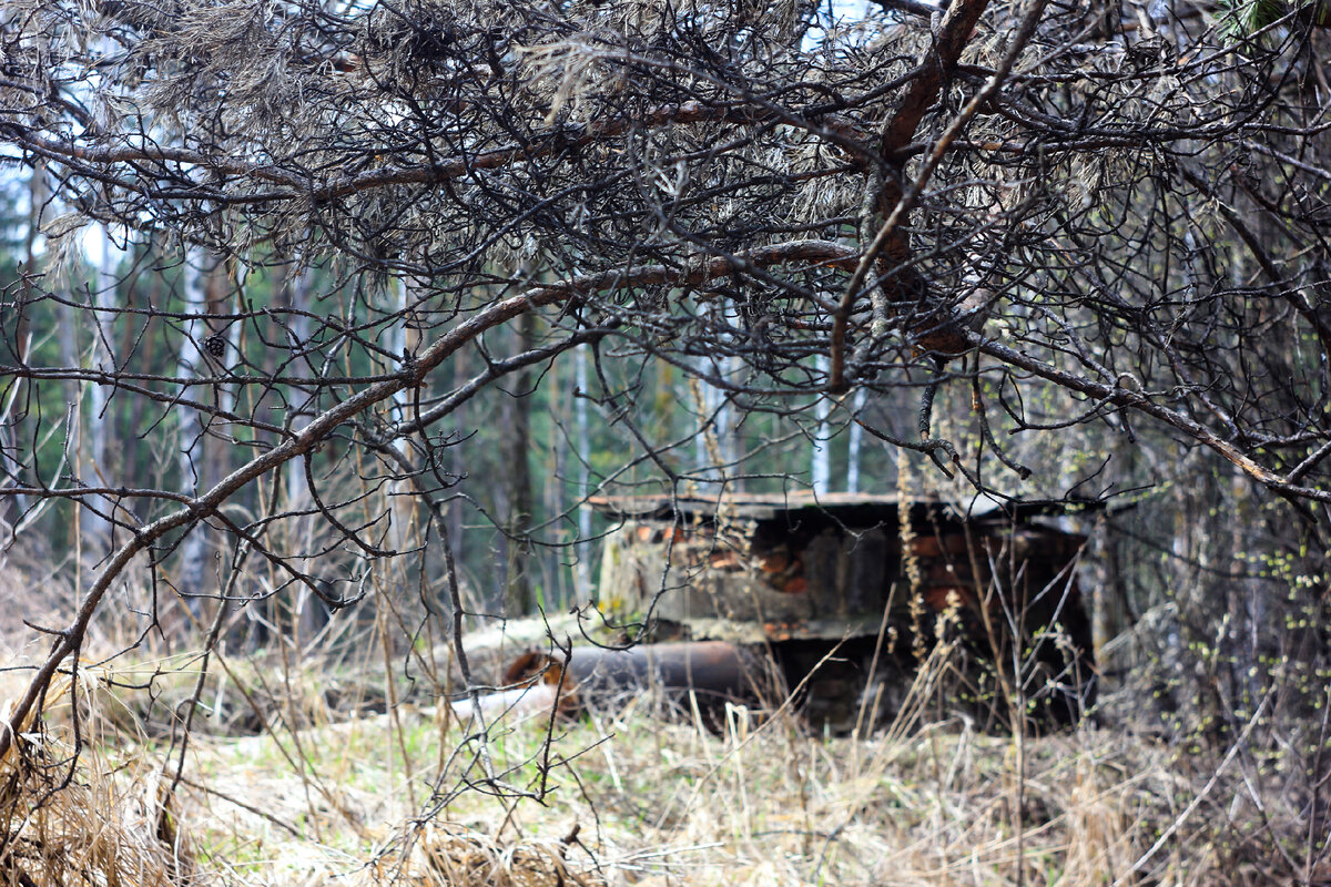 Фотографии в этом материале сделаны на Советский объектив Гелиос 44м