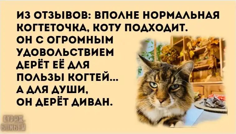 Юмор в картинках: фантомные деньги, Титаник и диван для души
