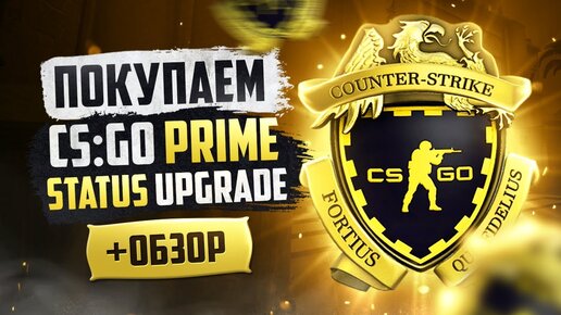 Где купить CS: GO Prime Status дёшево | Что это такое?