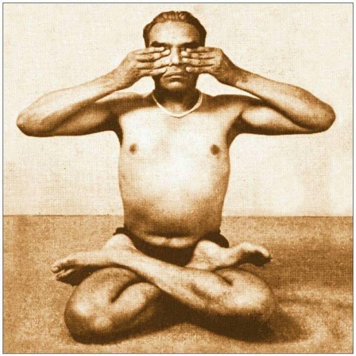 Айенгар делат брамари- картинка с яндекса