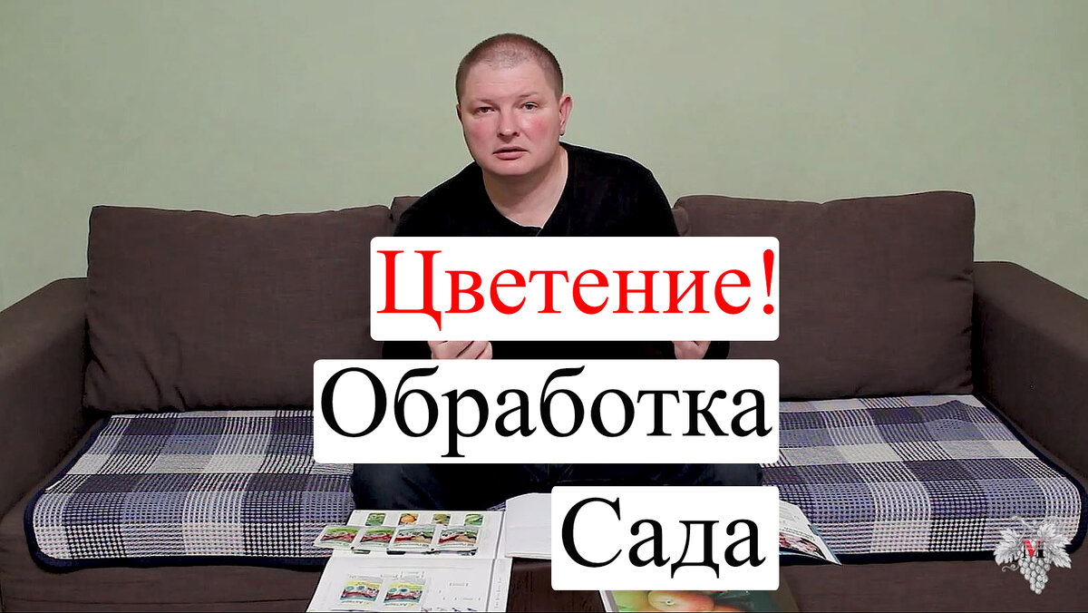 Не ПРОПУСТИ! Обработка САДА во время ЦВЕТЕНИЯ! | Виноград VM | Дзен