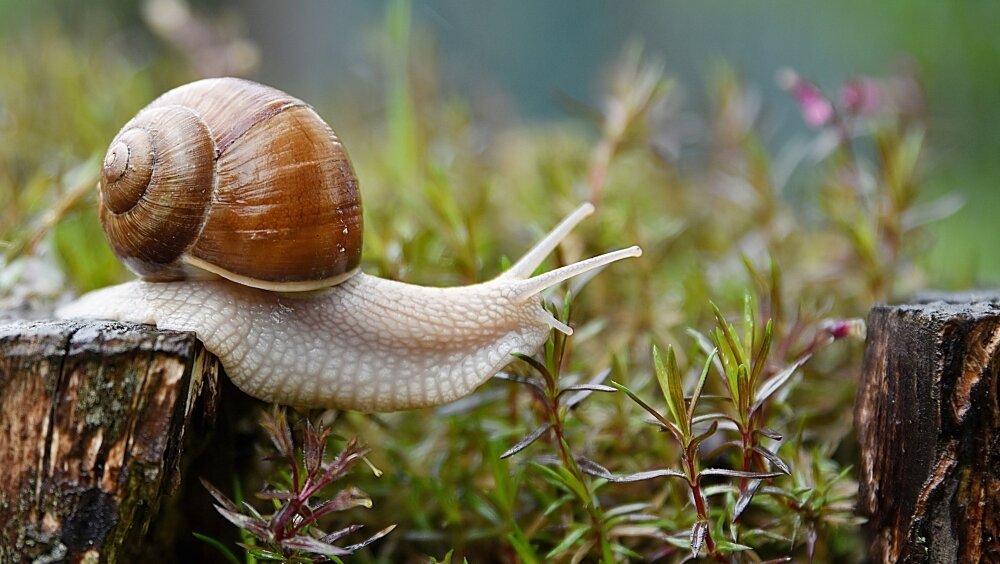    Фото: Shutterstock
