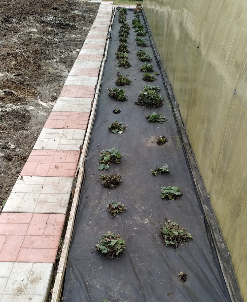 Теперь вид у неё такой