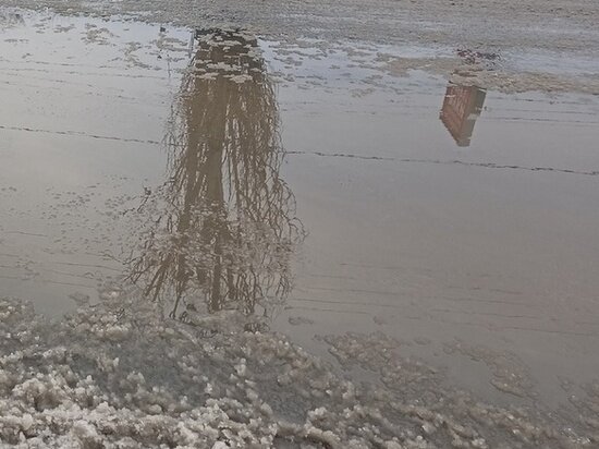     Архив "МК в Оренбурге"