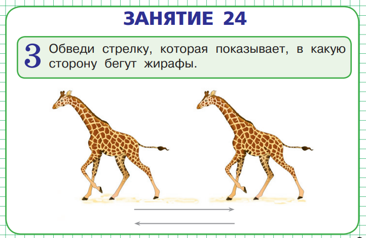 Что показано на рисунке выберите ответ