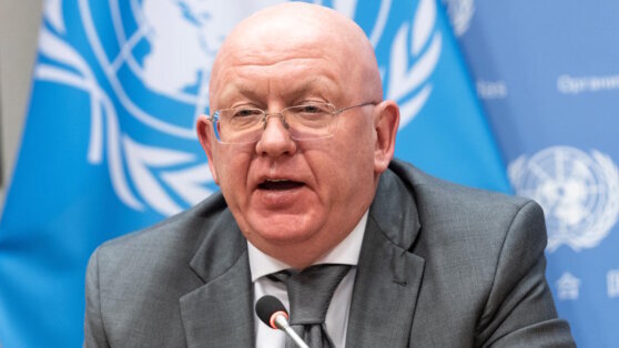    Небензя: Место России в Совбезе ООН согласовано с бывшими членами СССР Юлия Шелковенко