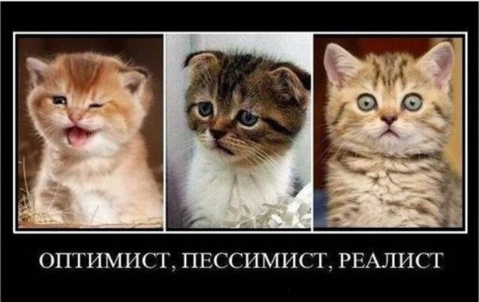 Фото из открытых источников в интернете 