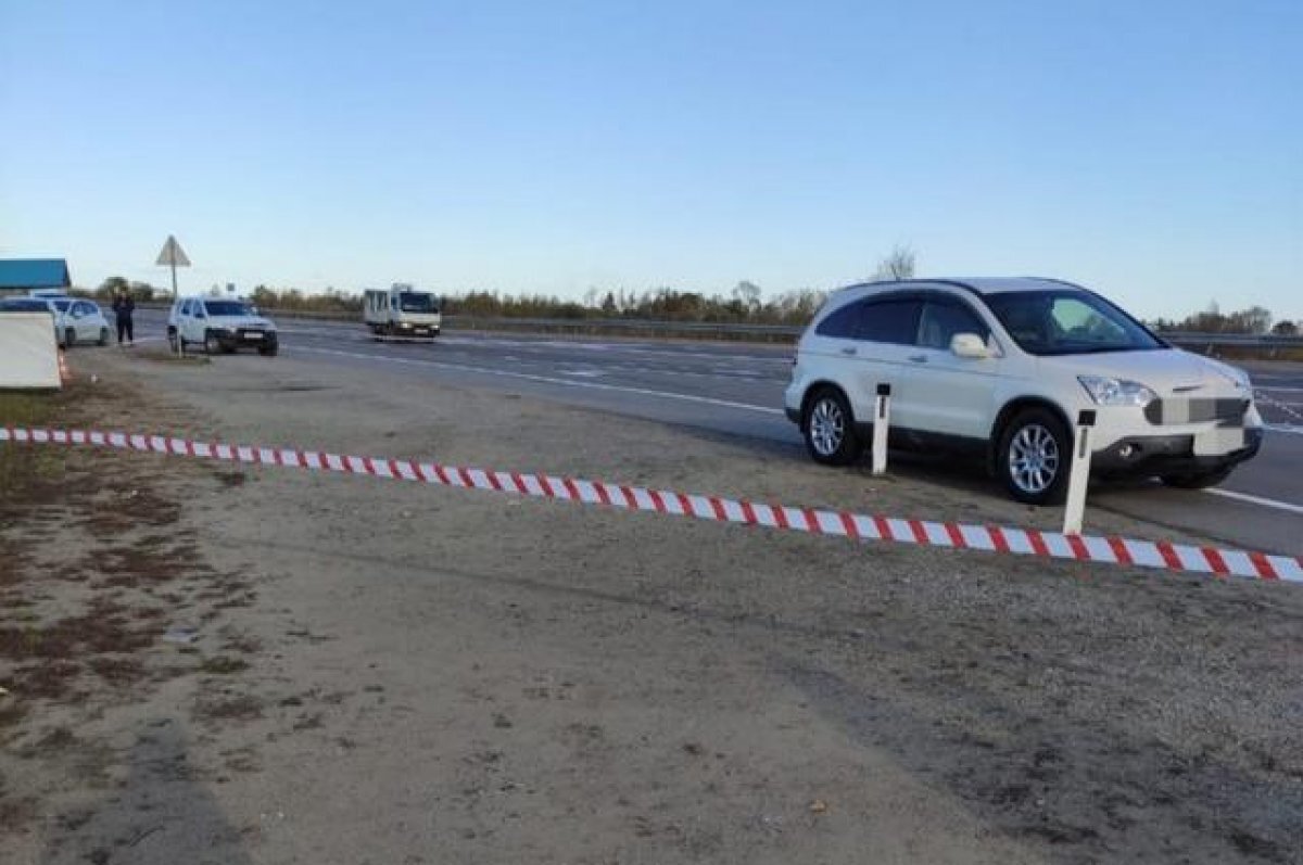    Украл $24 000. Пенсионер застрелил друга и свалил всё на «Витю-невидимку»