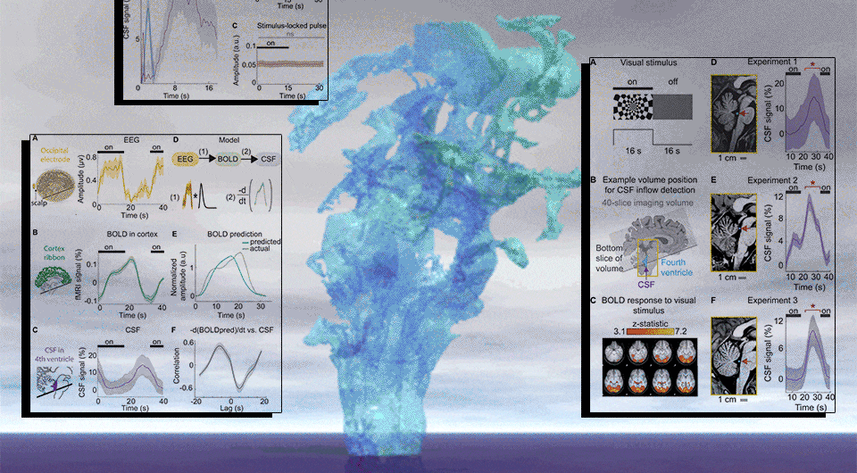   N + 1; Williams et al., 2023; Wikimedia Commons
