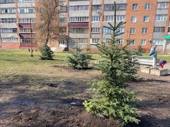     Фото: администрация Курска