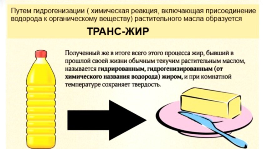 Гормонотерапия при лечении транссексуалов | Портал ветдоктор-56.рф