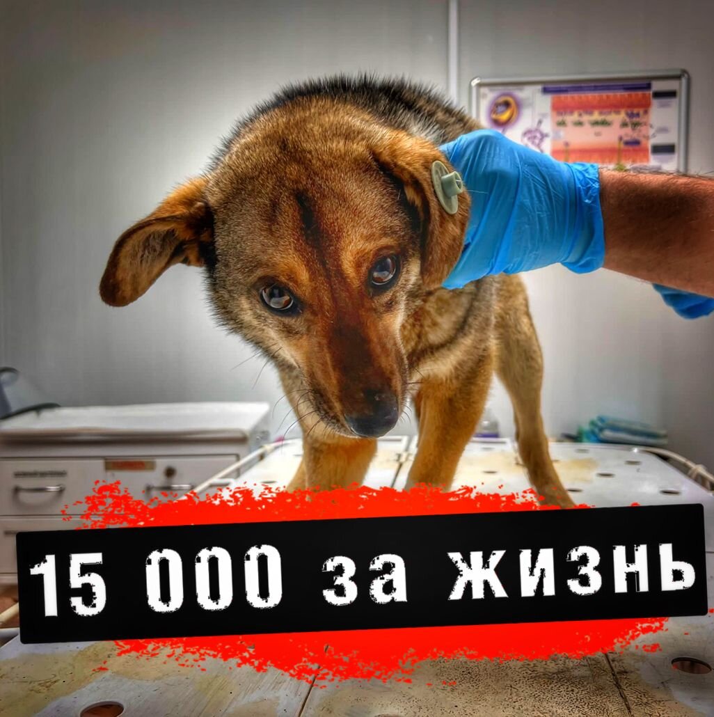 Ефиму срочно нужна ваша помощь