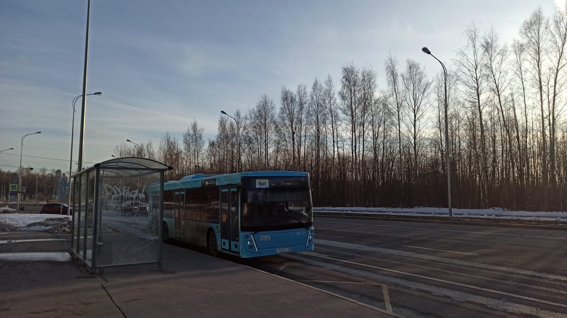 Проспект ветеранов петергоф. Маршрутный автобус. Автобус Санкт-Петербург. Автобус в Питере. Транспортная реформа Петербург.