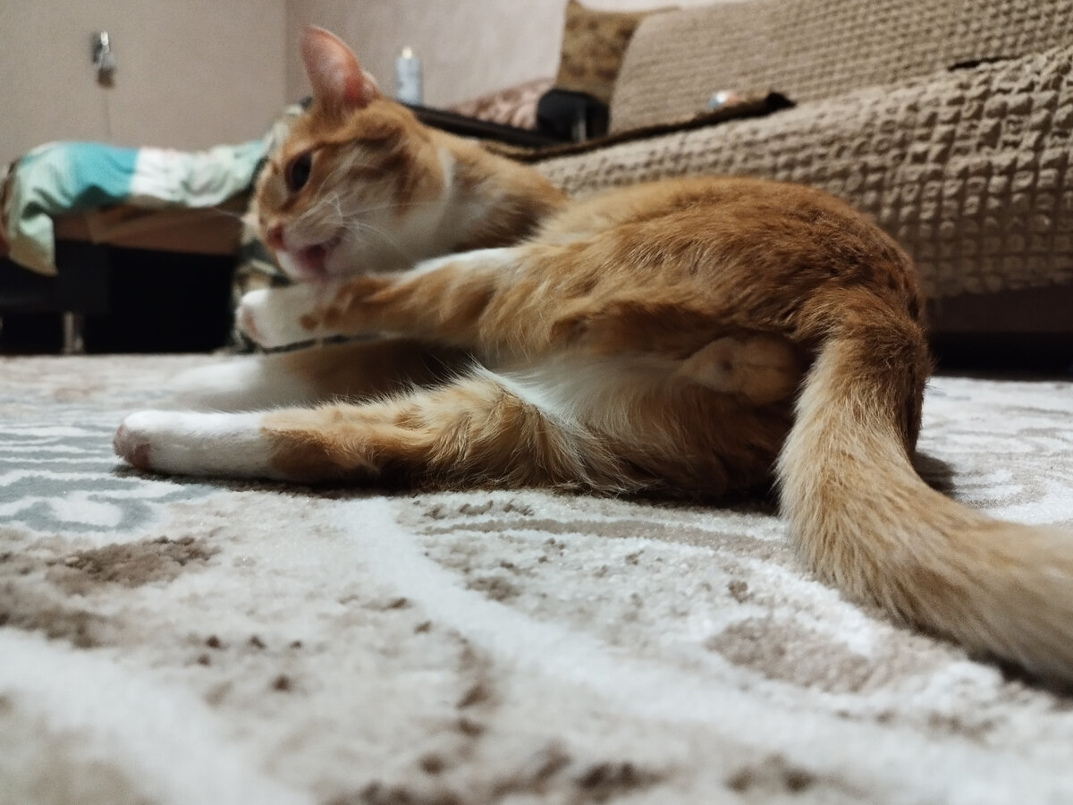 Мой ответ безедену