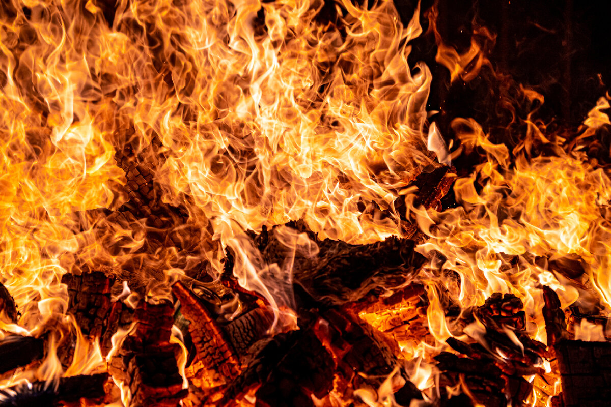   Фото: iStock/Javier Paredes Perez