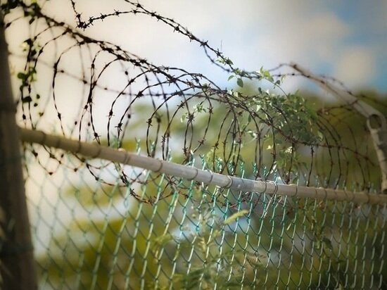 ФОТО: PIXABAY.COM 