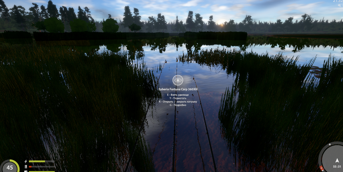 55 31 клипса 17