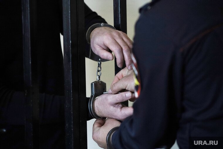    Украинского пилота отправили под арест до 4 мая