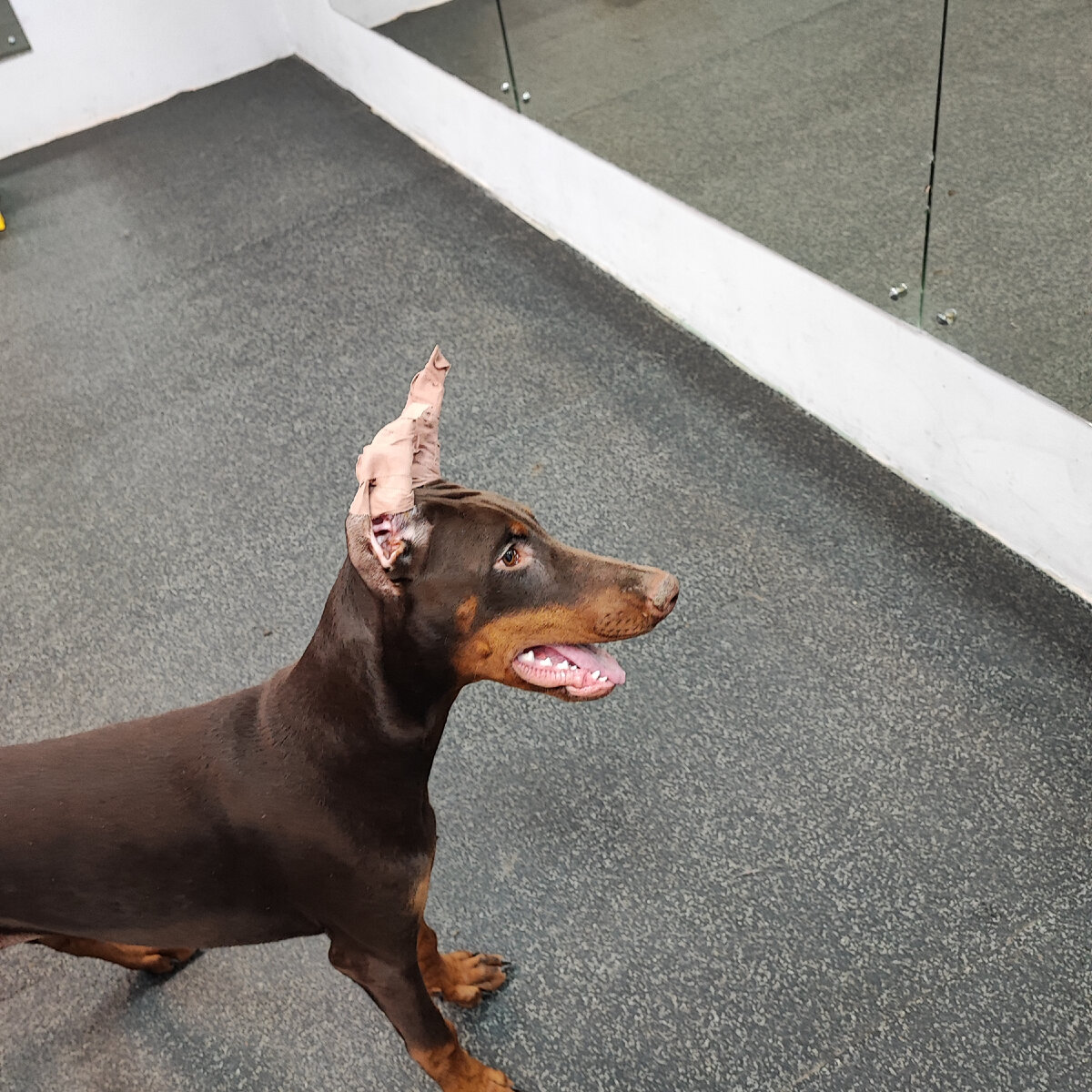 Арья видит себя в зеркале