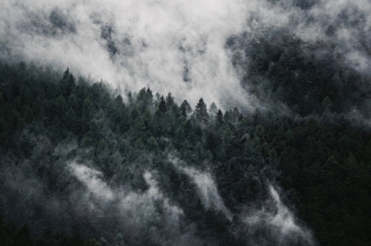    В Тюменской области зафиксировали три новых лесных пожара