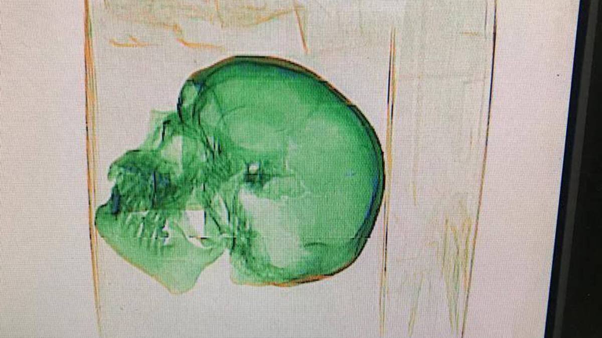    Фото: Telegram / ФТС России