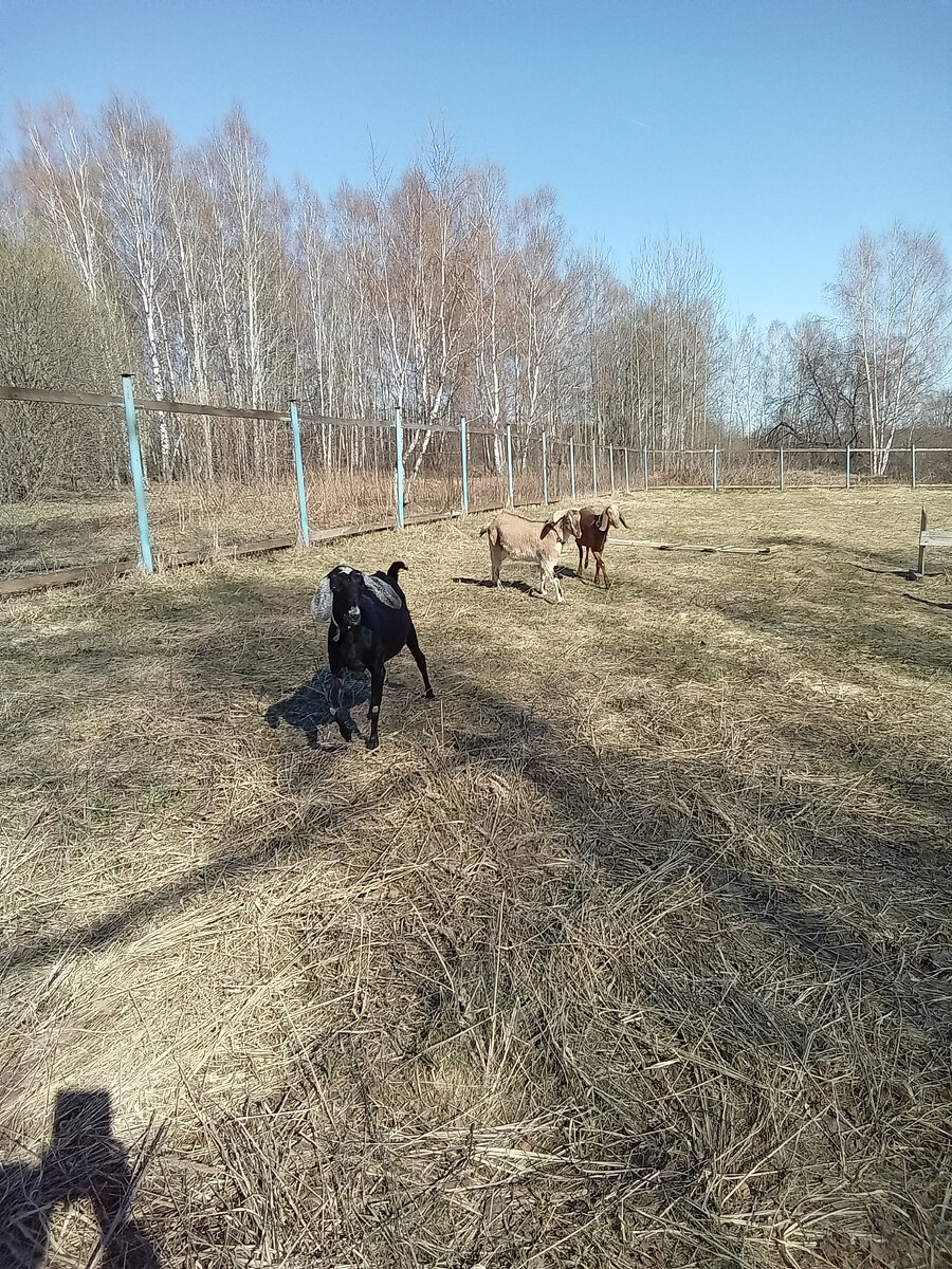 Фото автора. 