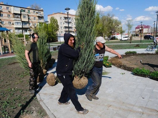     В новом сквере «Антикормаш» высадили дубы и можжевельники / astrobl.ru