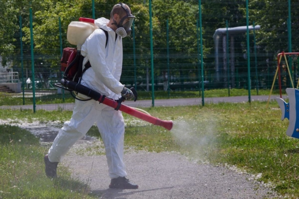    Более 600 га обработают от клещей в Псковской области