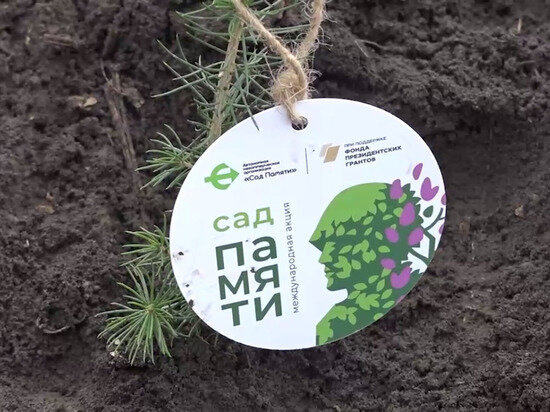 Фото: кадр из видео телеграм-канала Дениса Пушилина