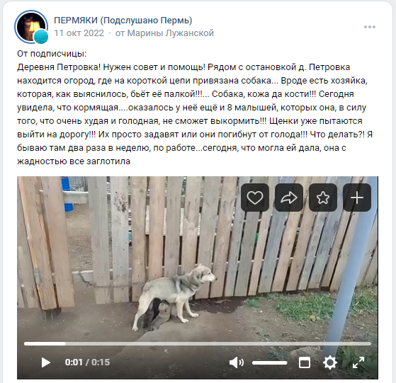 Скриншот того самого поста