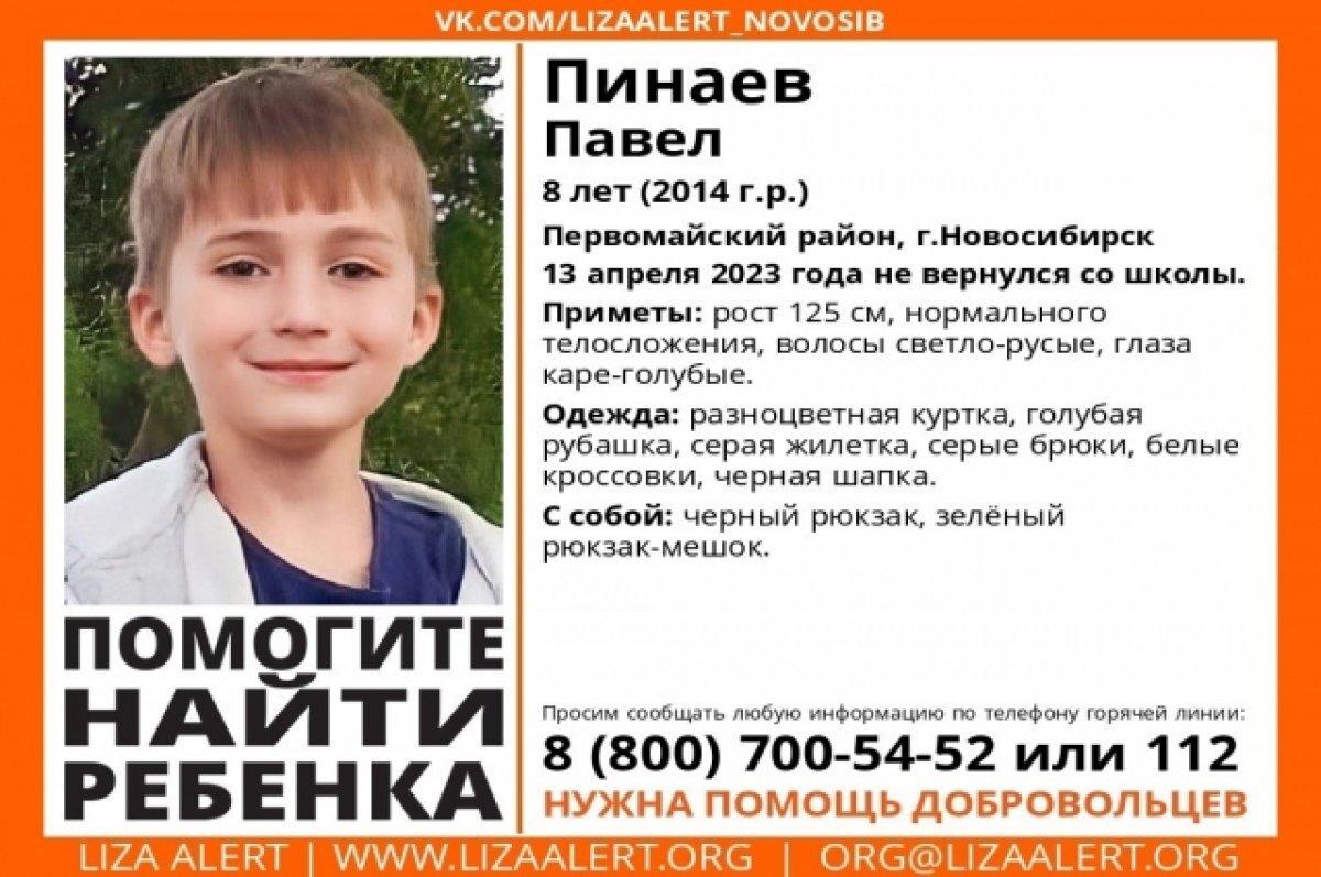 В Новосибирске 8-летний мальчик не вернулся из школы | АиФ Новосибирск |  Дзен