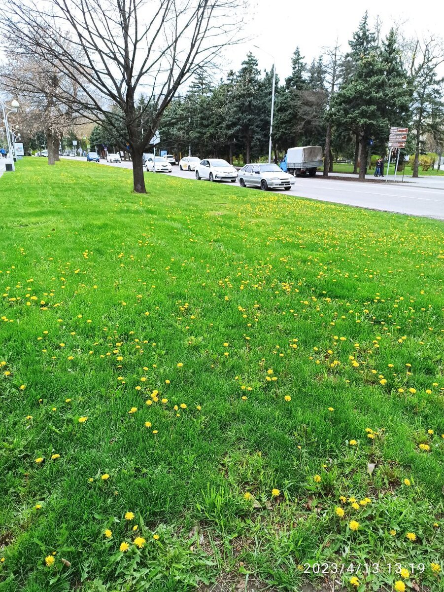фото всё же передать 100% не может красоту