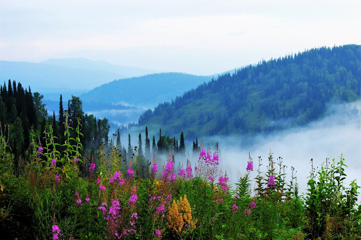 Природа Сибири самые красивые места - фото и картинки: 92 штук