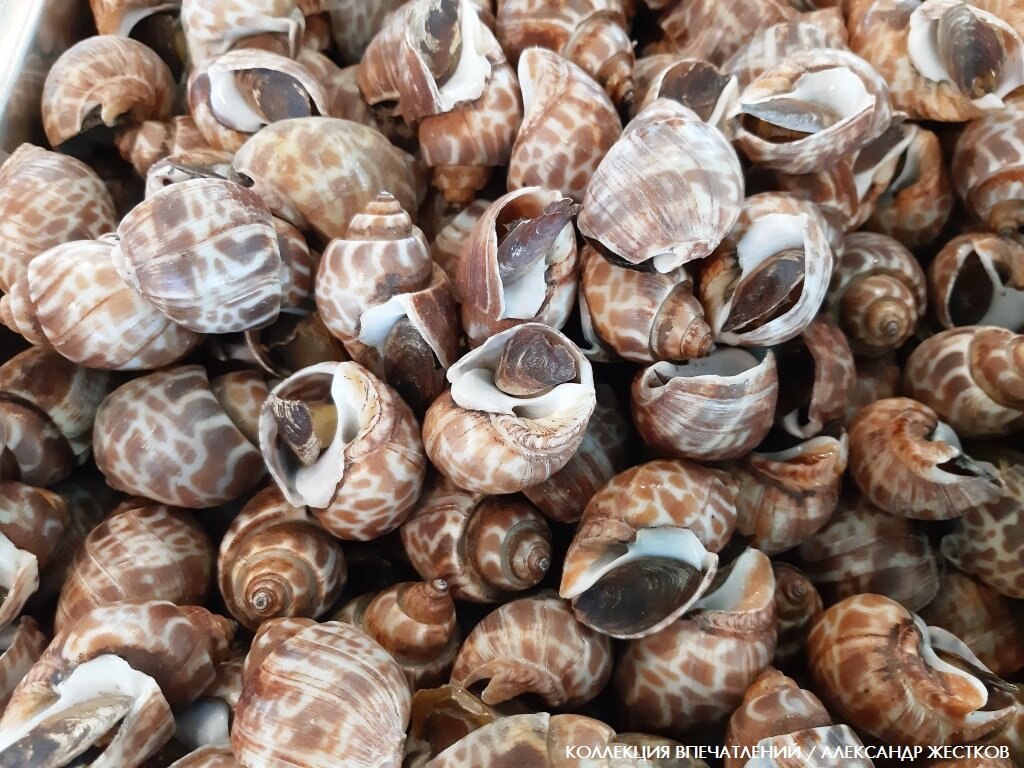 Заманчивые морепродукты. Вы уверены, что вашему желудку это понравится?