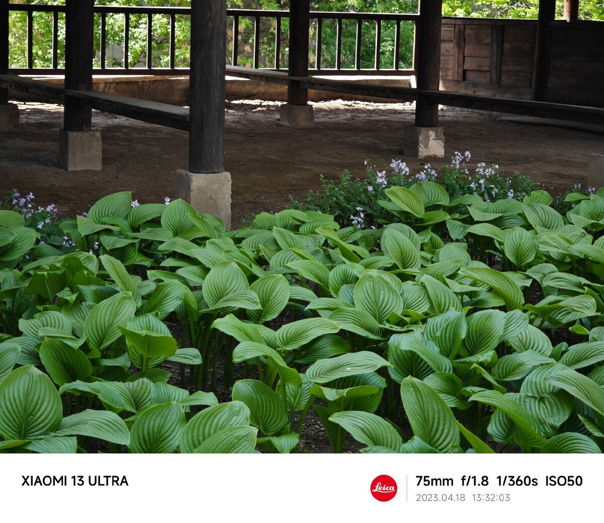 Опубликованы примеры фотографий, сделанных на 75-мм модуль Leica в Xiaomi 13 Pro