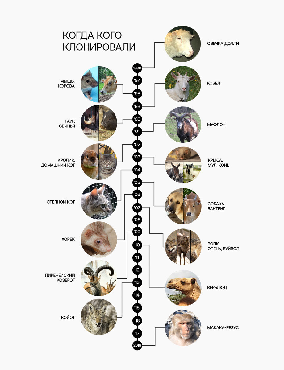   P. Olof Olsson et al. / Scientific Reports, 2022; N + 1