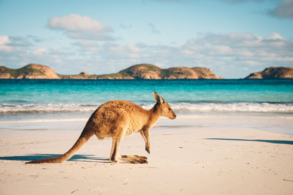 Мое путешествие в австралию