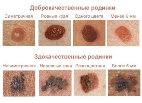 Фото из открытых источников. 