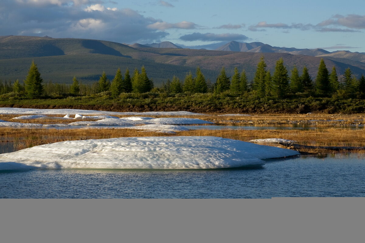 Весна в Арктике. Что происходит с мерзлотой | Go Arctic | Дзен