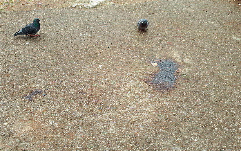  О трагедии еще что-то напоминает. Фото: Анастасия Захарова