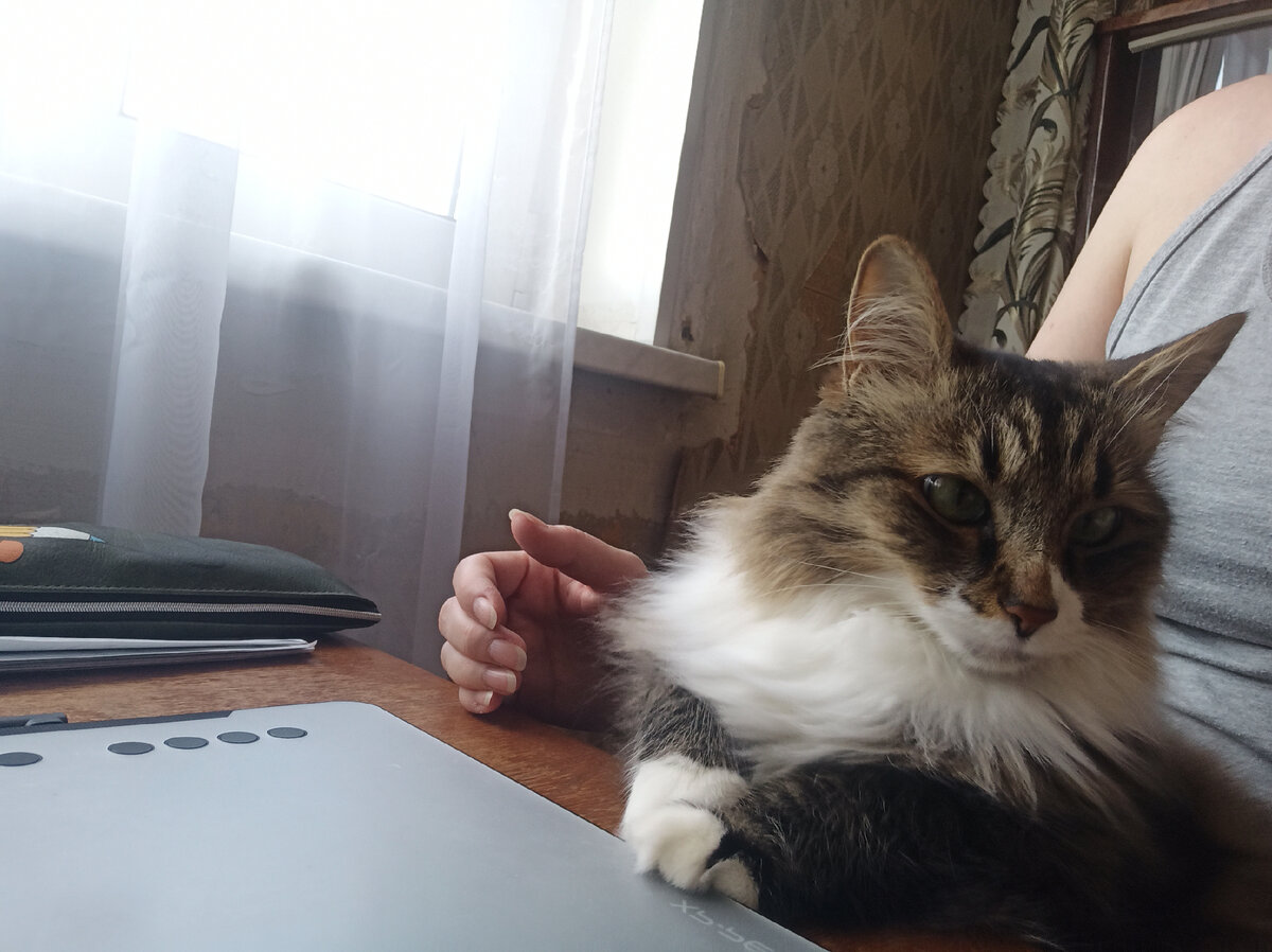 В процессе работы🐱