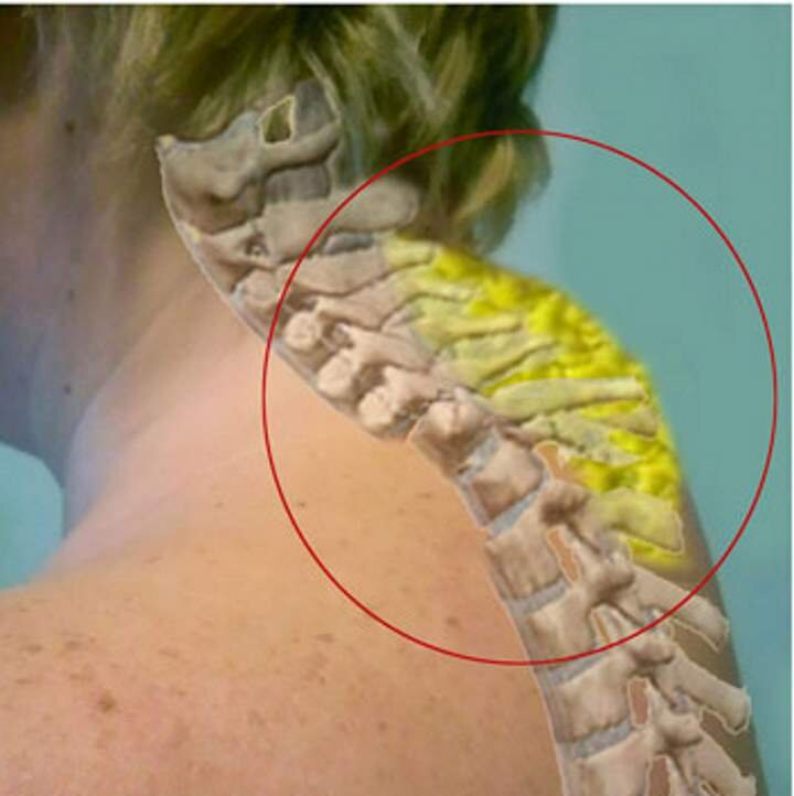 Картинка из интернета