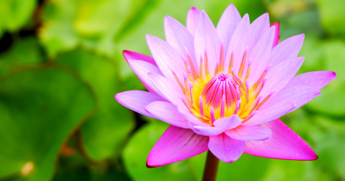 Фото: freepik.com